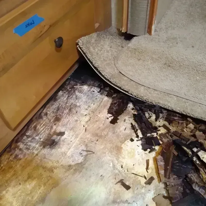 Best Wood Floor Water Damage Service in Long Beach, MD